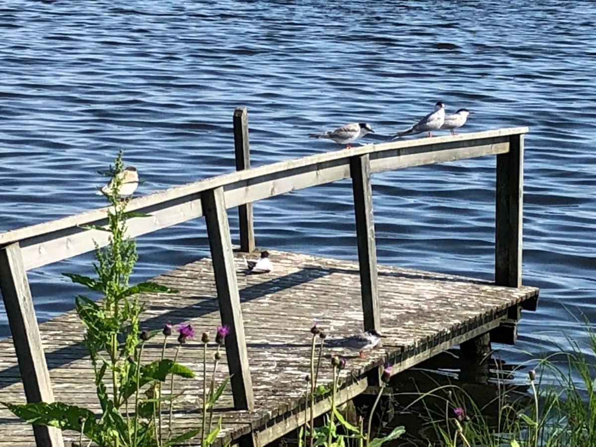 Hotelli Kultainen Joutsen Kuusamo Esterno foto